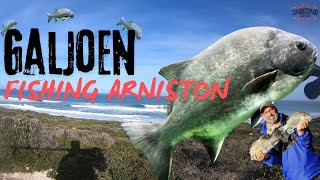 Galjoen Fishing Arniston [upl. by Akemehs940]