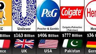 Richest Consumer Goods Companies 2024 [upl. by Aidualc]