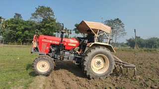 Swaraj 855 FE Working In Kaltivator  Swaraj tractor video  Rafik tractor wala [upl. by Itin]