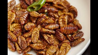 Beondegi 번데기 quotpupaquot KOREAN STREET Food koreancuisine traditionalinsectdish pupa koreanfood [upl. by Idelson647]