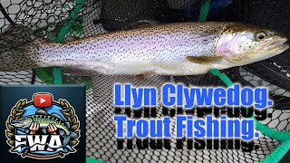 Fly fishing for trout Clywedog damm Llyn Clywedog Mid Wales UK March 2024 [upl. by Dleifxam575]