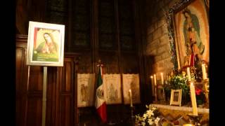 quotVIRGEN DE GUADALUPE SONGquot SINGING BY PALOMA LANDGRAVE [upl. by Lipcombe]