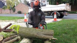 Stihl ms201t vs Husqvarna t540xp [upl. by Iaka]