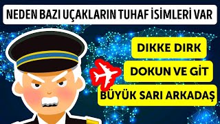 Neden Bazı Uçakların Tuhaf İsimleri Var l Bazı Uçaklar İsimleri Yolcularından Alıyor [upl. by Shull232]