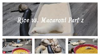 Rice vs Macaroni Part 2 [upl. by Lorien996]