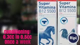 SUPERVITAMINA B12 5500 GAMEFOWL CONDITIONING GUIDE [upl. by Nahs255]