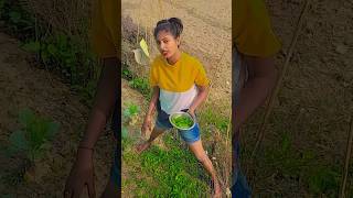 Punam aaj palak kat rahi hai shortvideo bhojpuri tannuyadav bhojpurisong viralvideo tranding [upl. by Akirderf]