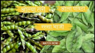 रस्सेदार आणि चमचमीत ओल्या पावट्याची भाजी Turichya Danyachi Bhaji Turichi Bhaji recipe cooking [upl. by Mad127]