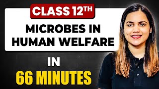 MICROBES IN HUMAN WELFARE in 66 Minutes  Biology Chapter 10  Full Chapter Revision Class 12th [upl. by Eeleimaj502]