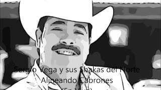 Sergio Vega y sus Shakas del Norte Alineando Cabrones Arturo Beltran [upl. by Noitsuj]