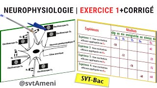 SVTBac Neurophysiologie Exercice 1  Corrigé [upl. by Nannie686]