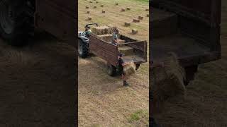 Ramassage des Foins agriculture agriculteur farming farmer nature [upl. by Specht]