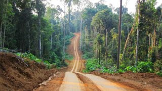 Infrastruktur Jalan Di dalam Sebuah Kawasan Hutan Produksi [upl. by Majka]