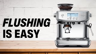 How to Flush The Breville Barista Pro [upl. by Zenger]