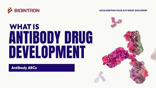 Antibody ABCs Antibody Drug Development [upl. by Aloisia]