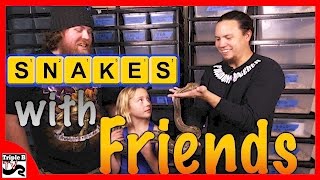 Snakes with Friends  Living Legless Reptiles  Triple B TV  Ep77 [upl. by Brechtel]