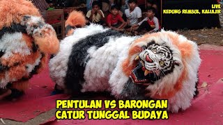 CATUR TUNGGAL BUDAYA  PENTULAN lanjut BARONGAN  Live Kedung Rembul Kaliajir [upl. by Adnal]