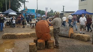 Maleny Wood Expo 2019 [upl. by Eus]