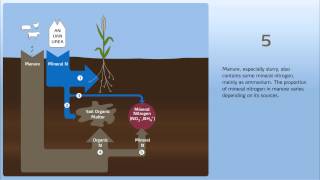 How to control nitrogen leaching in the soil Part 2 [upl. by Poirer262]