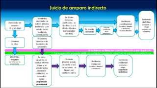 Procedimiento del juicio de amparo indirecto [upl. by Alfi719]