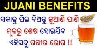 ଜୁଆଣି ର ୧୦ ଟି ଔଷଧୀୟ ଗୁଣ  Juani ra upakarita  Juani benefits  Ajwain Odia  ODIA HEALTH TIPS [upl. by Eleirbag]