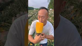 Pineapple 🍍 juice shorts pineapple farming livetoday fruitcutting tasty food [upl. by Oiznun254]