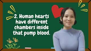 Yang Aguilar Valmonte Science in ECE Pumping Heart Experiment [upl. by Keefe]