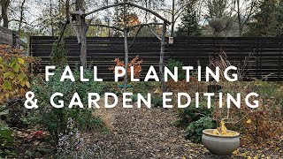 Fall Planting and Garden Editing  Planting hellebores hostas ampsedges [upl. by Pomcroy71]