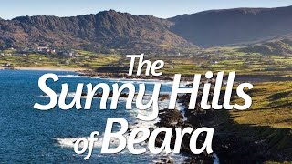 THE SUNNY HILLS OF BEARA comp John Dwyer  JIG [upl. by Enylecoj]