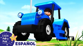 Canción del Tractor  Canciones Infantiles  Dibujos Animados  Little Baby Bum Latino [upl. by Airtemad]