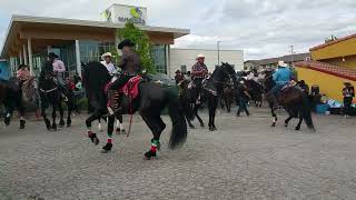 Dancing Horses  Wenatchee WA [upl. by Adile552]