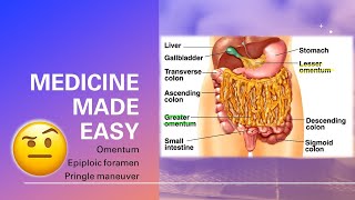 Omentum Omental foramen Pringle Maneuver  fast and easy  MEDICINE MADE EASY [upl. by Moser]