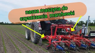 120hektarów marchewki ekologicznejjak wygląda pielenie maszynowe oraz ręczne [upl. by Anirbas731]