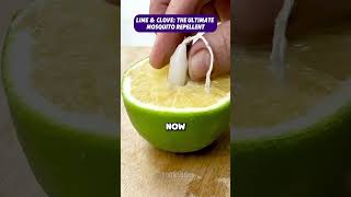 DIY Lime amp Clove Mosquito Repellent Hack naturalrepellent diyhometips mosquitofree [upl. by Lapo]