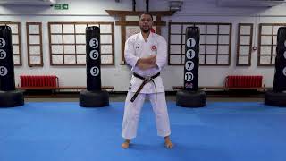 11 Beginner White Belt Karate Moves  Practise Karate at Home [upl. by Einnaj]