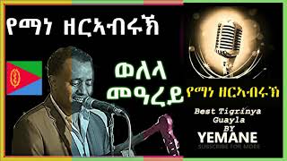 Yemane Zerabruk Eritrean music Live on stage Hot Guyla ጓይላ 2024 Welela MeArey [upl. by Erasaec]