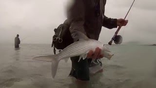 Fly Fishing Belize In The Rain [upl. by Ycaj]