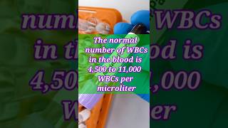 wbc count normal range  White Blood Cells white cells [upl. by Robma474]