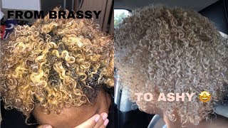 HOW TO TONE YOUR BLEACHED HAIR  FROM BRASSY TO ASHY [upl. by Jary]