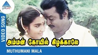 SPB P Susheela Duet Song  Muthumani Malai Love Song  Ilaiyaraja  SPB  P Susheela  சின்ன கௌண்டர் [upl. by Calandria]