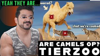 Are Camels OP TierZoo Reaction [upl. by Esirrehc]