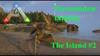 Pteranodon taming  ARK Survival Evolved EP2  The Island Official PVE [upl. by Yecaw]