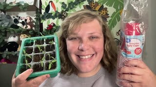 Gardening Tips How to Repot Leggy Tomato Seedlings [upl. by Danell]