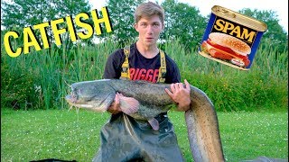 Catching MONSTER Catfish on SPAM  Ch 1 [upl. by Eelirem]