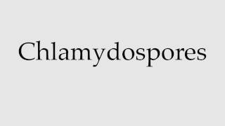 How to Pronounce Chlamydospores [upl. by Lienhard]