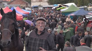 KONJ OD 5 HILJADA EURADVIZAC OD 4 HILJEDE MARAKA I MANGO SA ILIĐE ATRAKCIJA NA VAŠERU U TURBETU [upl. by Goeger]