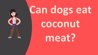 Can dogs eat coconut meat [upl. by Seraphim819]