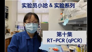 Visual Protocol 10  RTPCR qPCR  实验员小哈 第十集 [upl. by Oinimreh]