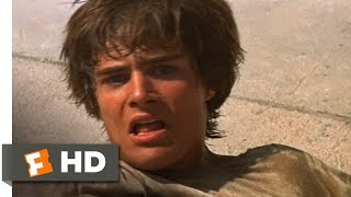 Romeo and Juliet 69 Movie CLIP  Romeo Kills Tybalt 1968 HD [upl. by Nywra]