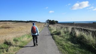 Cloughton Hayburn Wyke Walk North Yorkshire Moors Walks In North Yorkshire England UK [upl. by Yort]